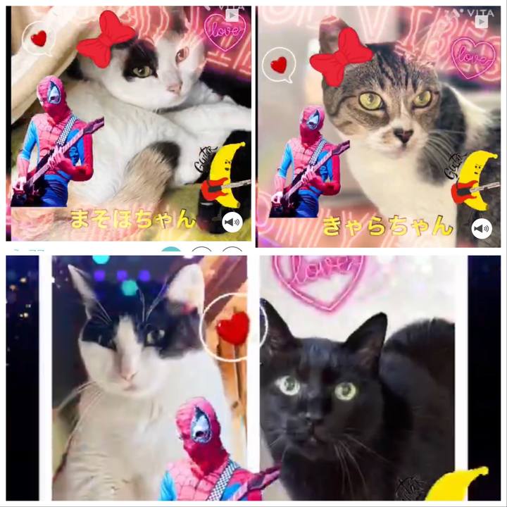 Fc8d58d2 9e34 4b2c 8512 f4bc56e2bad6 1670471332244