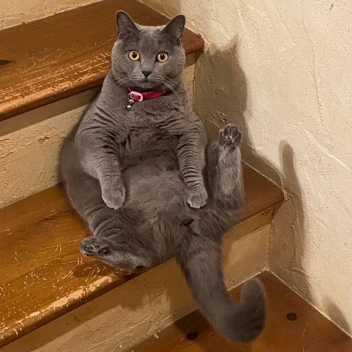 Fc8d5c26 9604 4700 b164 dc12706b04ac 1582377452403