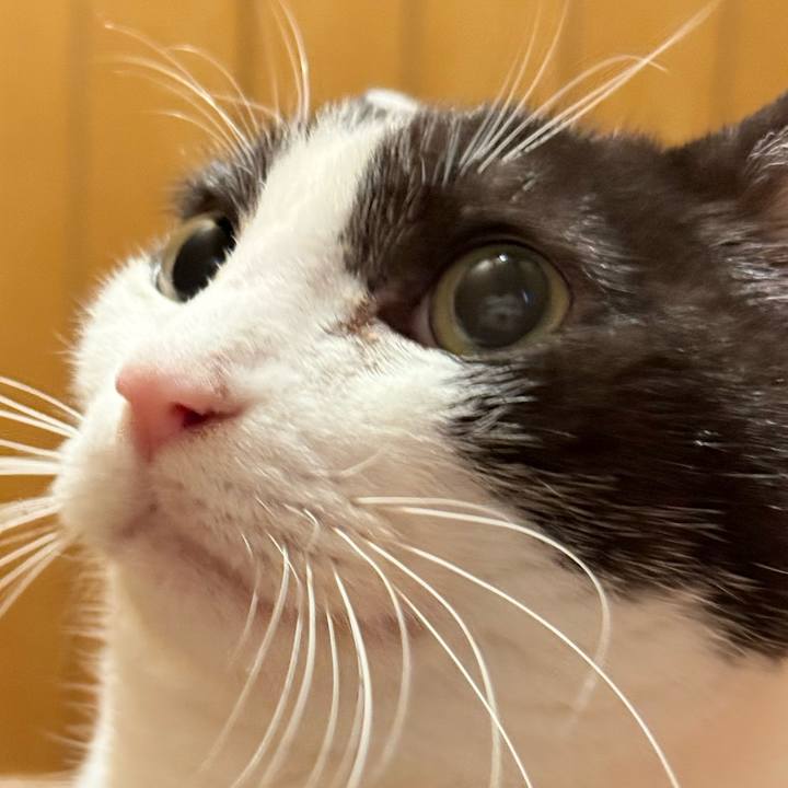 Fc8d6518 191d 4cd7 85f7 6a6049c36101 1763429687356