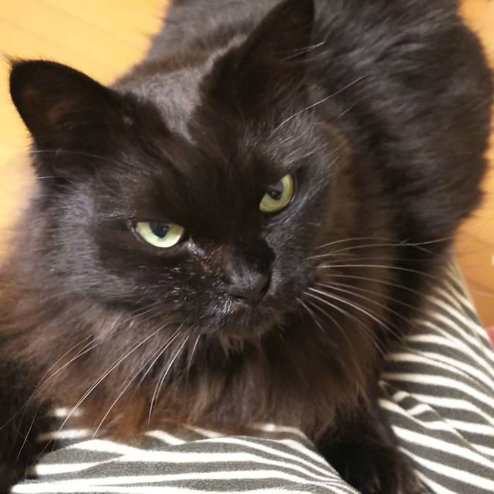 Fc8d67fb 77db 441b b3ae c7ce2922e08d 1544620901369