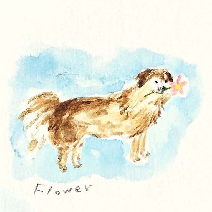 Fc8d6dd7 0a03 4464 b50a 20517d9fb8b9 1641631688872