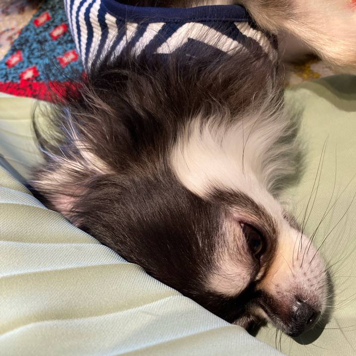 Fc8dd0cf 8334 401a bd3a 4dcafdfdeef1 1714321568811