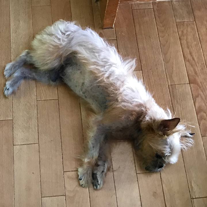 Fc8dda29 10a3 41f2 97fe 8c30be1b4903 1560831473277