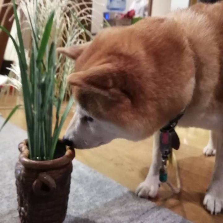 Fc8dfdf3 47f0 4206 a28c 7530640c9170 1600248088432