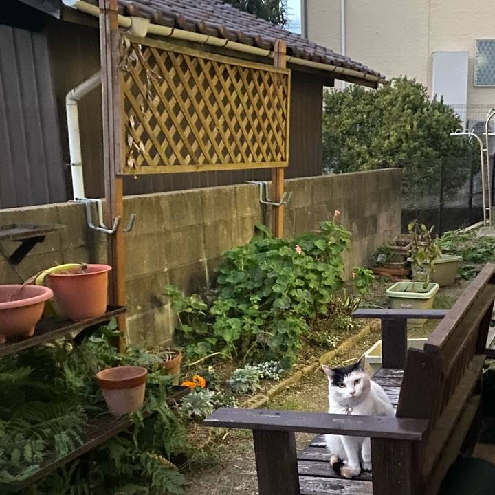 Fc8e056d 01ae 4556 8ebe eba1d9c040b4 1641508284344