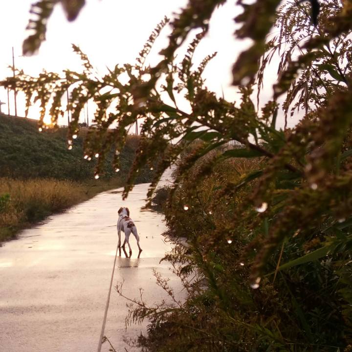 Fc8e4701 de99 4eee 9a90 195534a78fc1 1510646943831