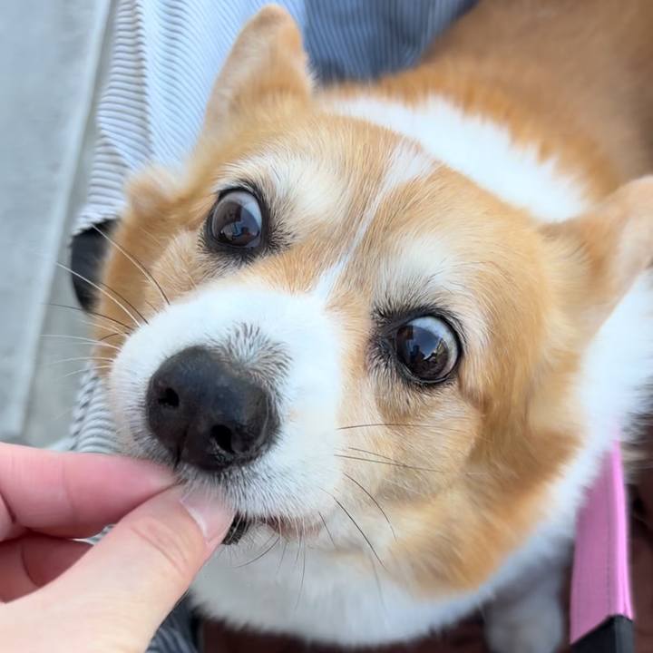 Fc8e786c 5900 43fe b2b5 18a9e6f4a032 1760749265890