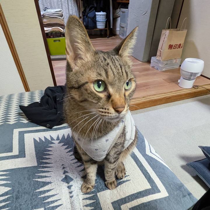 Fc8e8051 094e 4cb0 9df2 ef169227b9a9 1760952376702