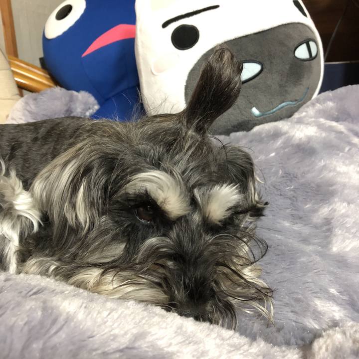 Fc8e9c29 8070 440d bc5c 6db7aa69015a 1525180520623