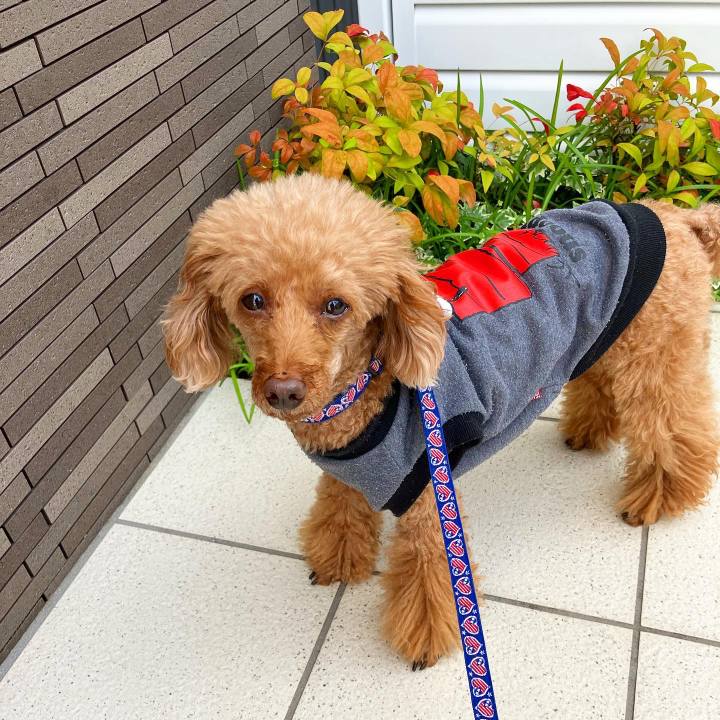 Fc8ea4cb 345f 444e bc53 18efba23836c 1667696759975