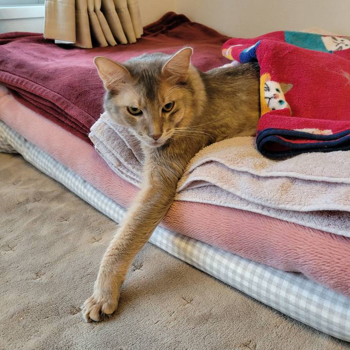 Fc8ef7b1 3671 4f82 8c49 9920012aba02 1638858433894