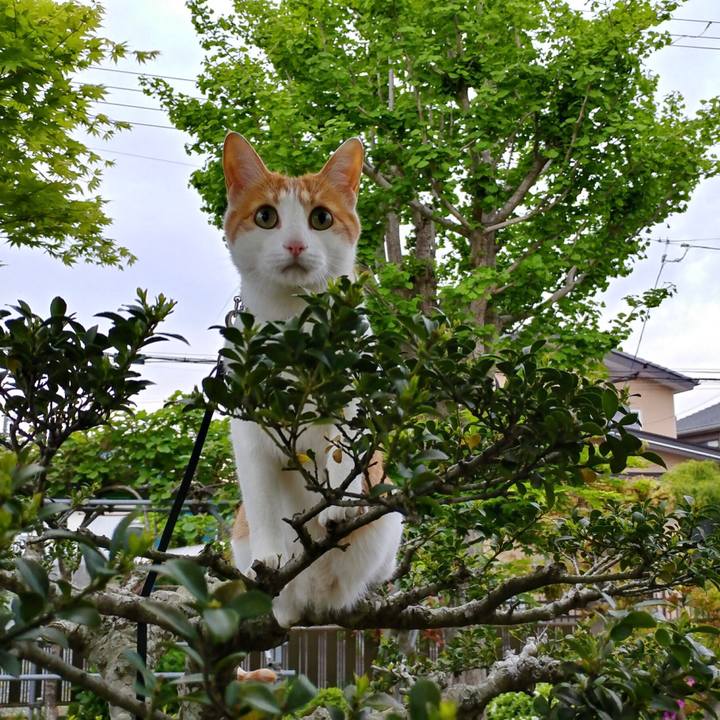 Fc8f2d98 f791 4089 a256 8beec7b3a76e 1525600032123