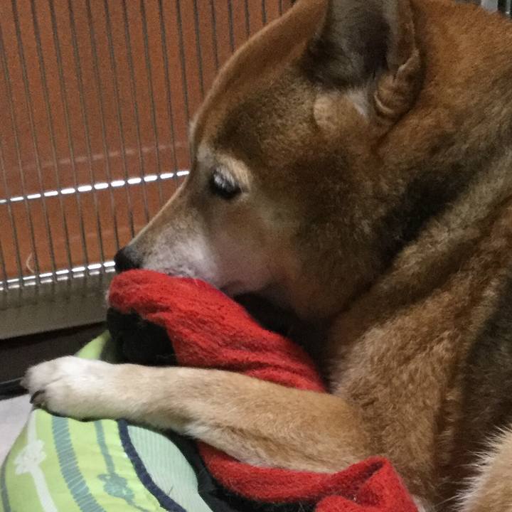 Fc8f7902 f341 4e77 b43d fb3375bb2f1b 1607684205349