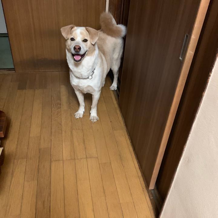 Fc8f9fce 4d94 4646 a2da 6fa3f8e02df1 1561471122918