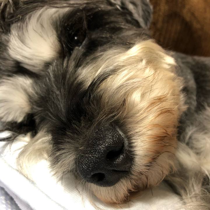 Fc8fffda 138e 495e 9895 be8480581fb1 1632319788484