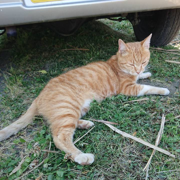 Fc906bda 39fe 456d bcbe 22063a0fbfa5 1590913276798