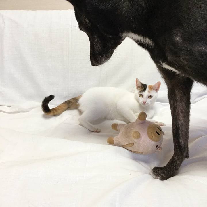 Fc90cde7 5692 425f a731 efee33345904 1555120543972