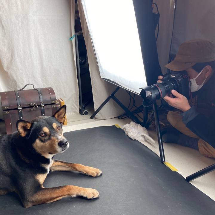 Fc90e221 3080 401b b024 787e0ad9b8f2 1644146205833