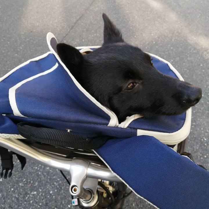 Fc90eee1 303e 43c0 82ff dae14df6df2a 1633216285466