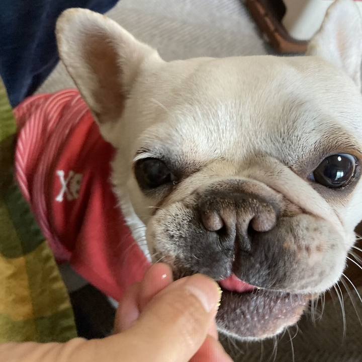 Fc9104b7 6d3a 4daf 9249 ff6f0549f056 1713762481718