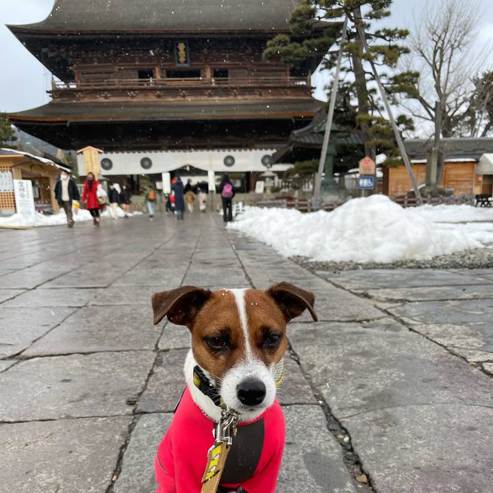 Fc9107ba a9f9 4f33 afe7 c16c808000ca 1643525323262