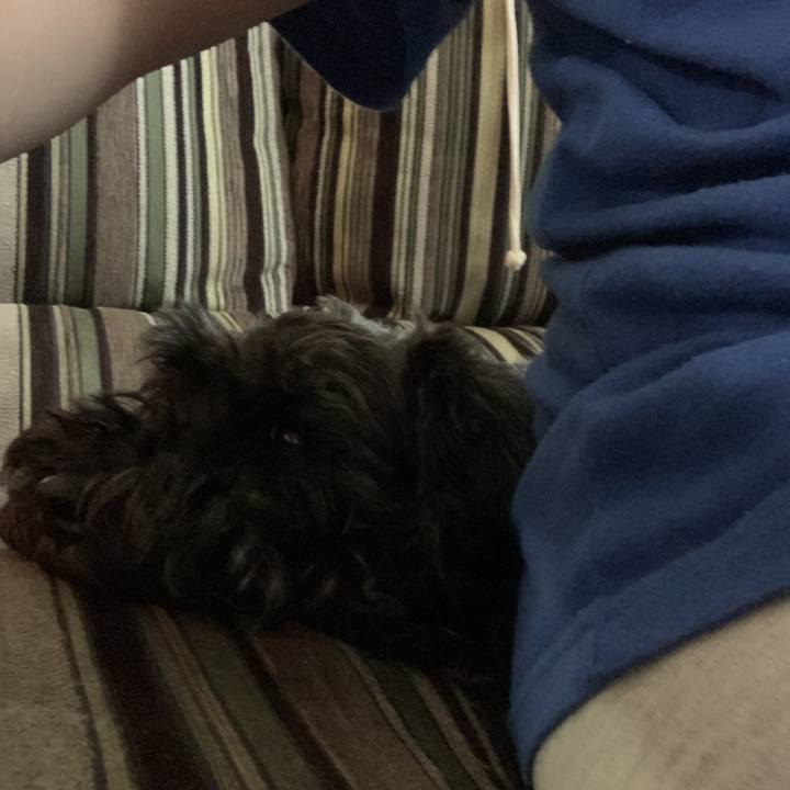 Fc9109c9 d8f5 48fb a4ac 1687f00d26ee 1591783142961