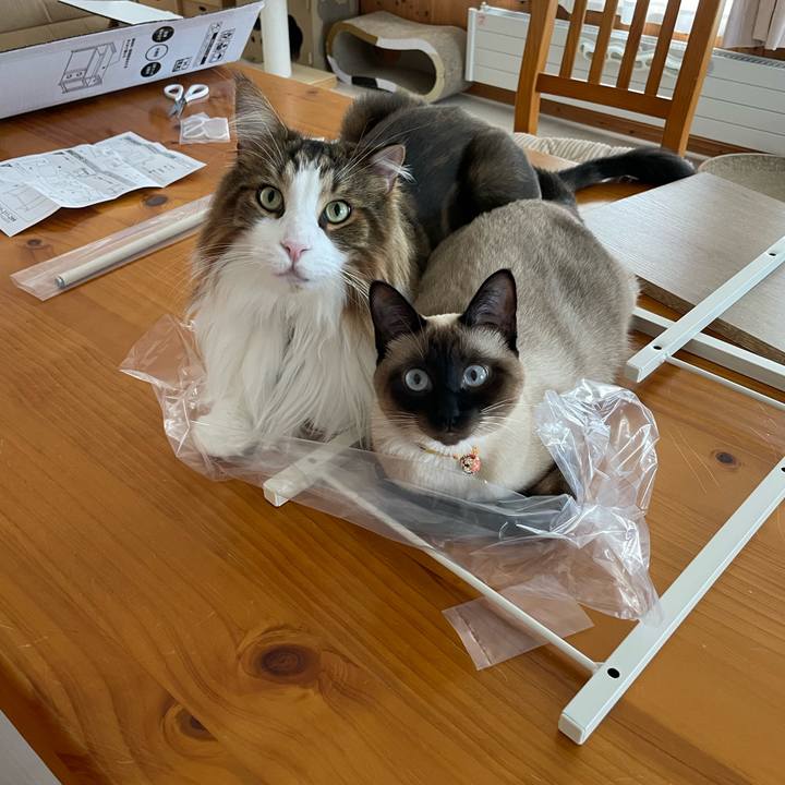 Fc9124a7 4d3d 45db 87a8 2635d5733ce7 1722673347803