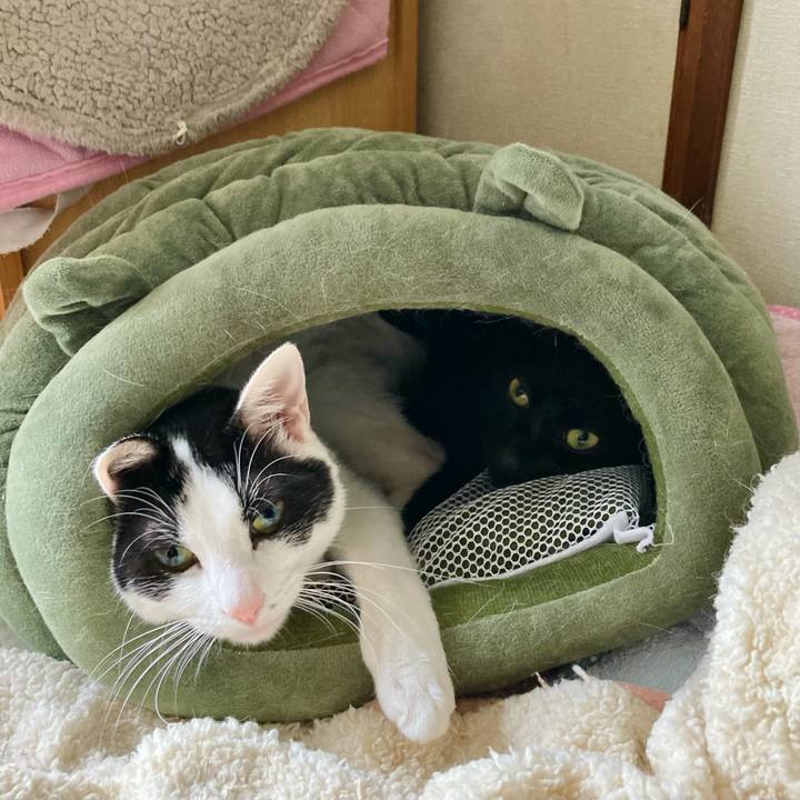 Fc91395b 4f53 4b79 872e 84aa61409d42 1663920711410