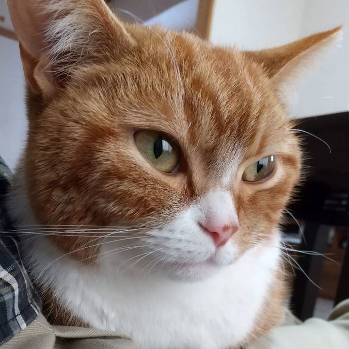 Fc9154d0 797f 45d8 a22b 1be2abf4bb0f 1653278325106