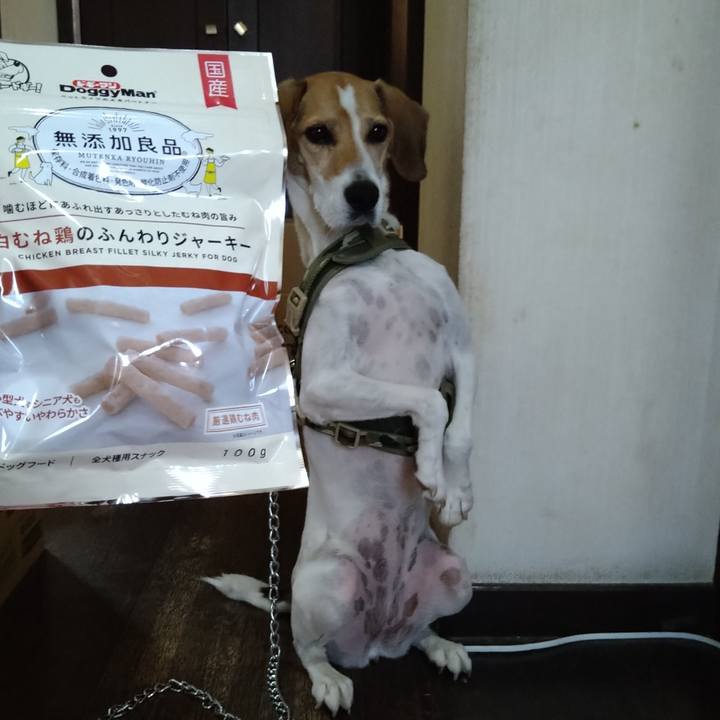 Fc917074 777f 46ce a3a4 38e4f2ca581a 1665735936001