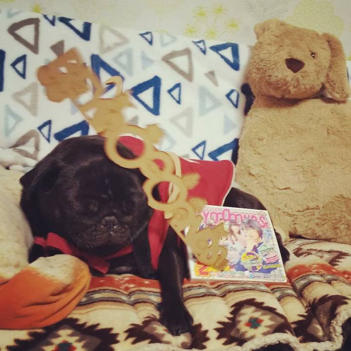 Fc91cf45 91ad 4b97 a875 ca20ba711bd3 1577697128294