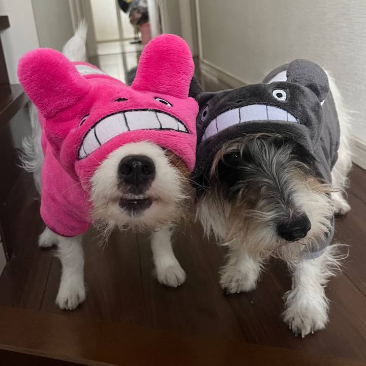 Fc91f2aa c084 4efc a53e 70a43749c2cc 1765935161192