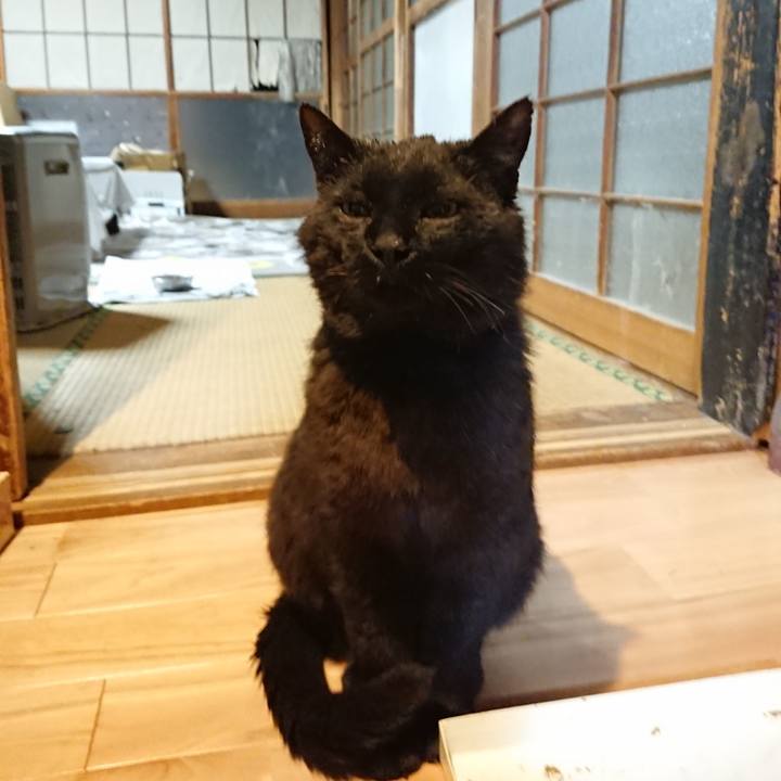 Fc91f45f ee79 4e2a a438 68433fa1821e 1621861932953