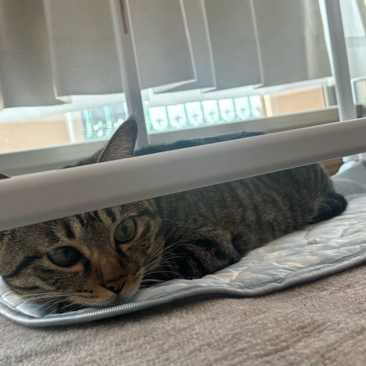 Fc921964 db7c 4b36 8329 9faffe2c9c8f 1758588320052