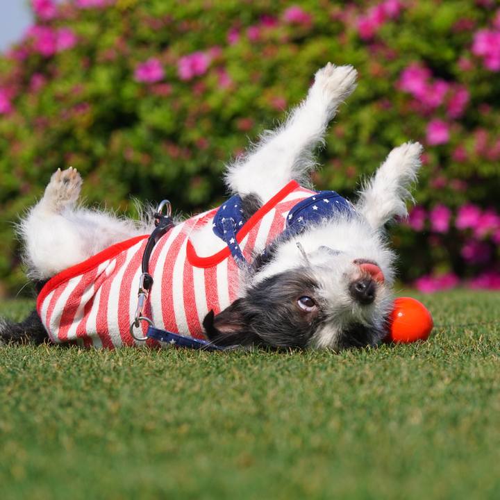 Fc9219dc 3490 49ab 9f0f 75e4ae8fb915 1555928063628