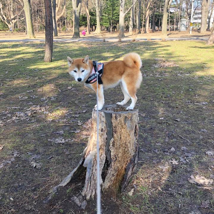 Fc923ce5 9898 4d05 a7dd 7ff3a9f37654 1554944599604