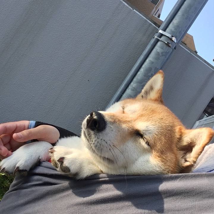 Fc9255a0 7cd0 4ddf 9676 1e2e9f245fed 1565998042027