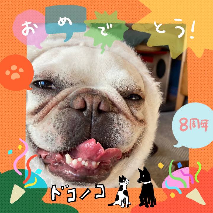 Fc92758e 763c 4d51 8046 91b261adc5cc 1717664102827