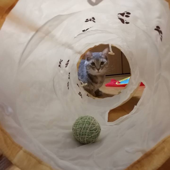 Fc92828d d07c 4858 b793 1b7cc6b1fb5b 1541852925217