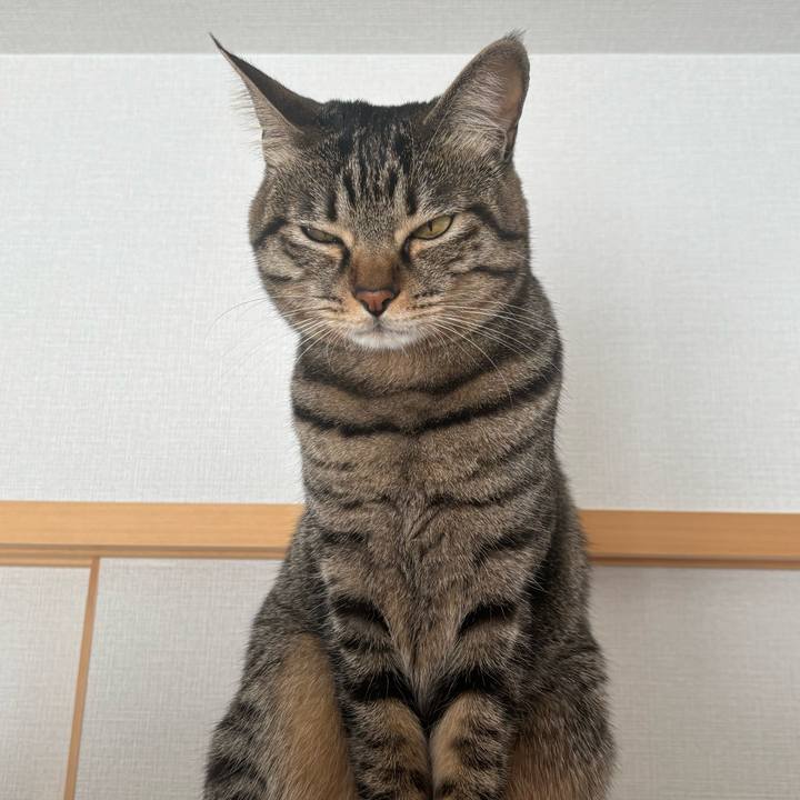 Fc92c335 180a 4654 a0c1 399f394f65ab 1767755726250