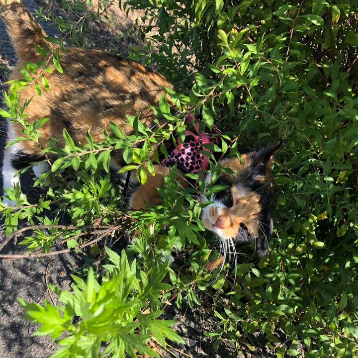 Fc92dfb8 32c1 4533 9ee6 b9c50369a2ba 1537666742611