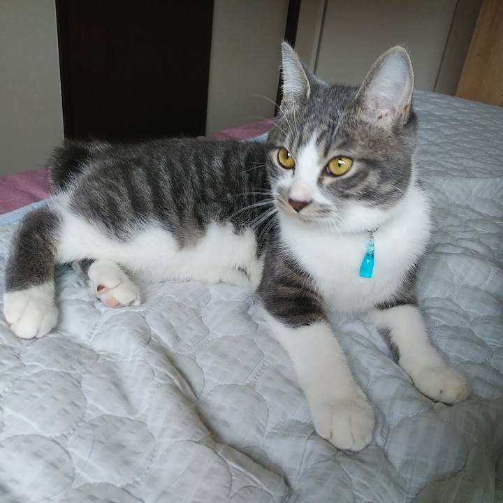 Fc92e189 0ee0 4caf 820f a62a2c7ff7e0 1573600250132