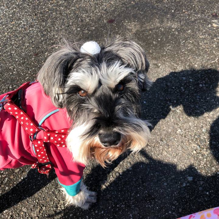 Fc92e1c4 1953 4fbd b5dc 9650265d09d3 1548565584167