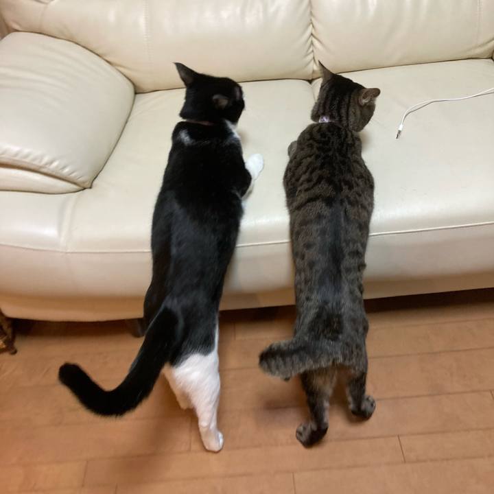 Fc93101f 565b 4aa0 a0d3 6001d8eefed1 1637556067588