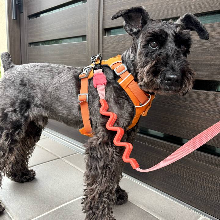 Fc931906 f6f9 4ba7 9302 417b66caa2cc 1747780361943