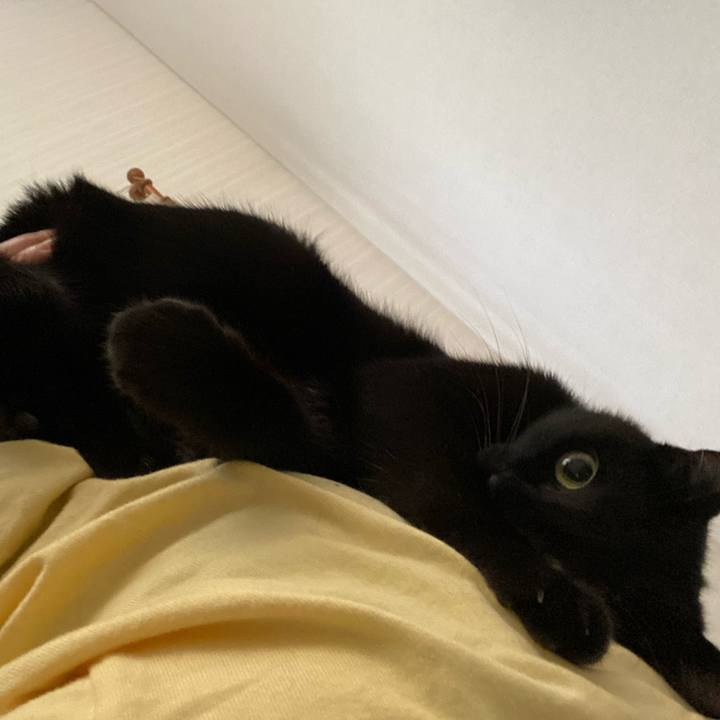 Fc931b62 a619 45f6 bce5 04012a174cc3 1633247942338