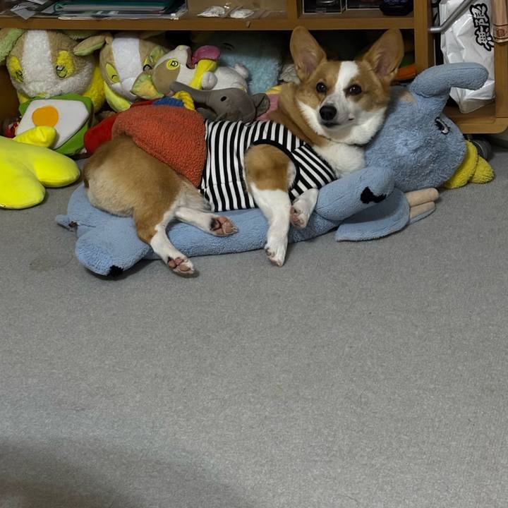 Fc931ba1 25d6 4528 afde 87910edf8d2c 1761663706565