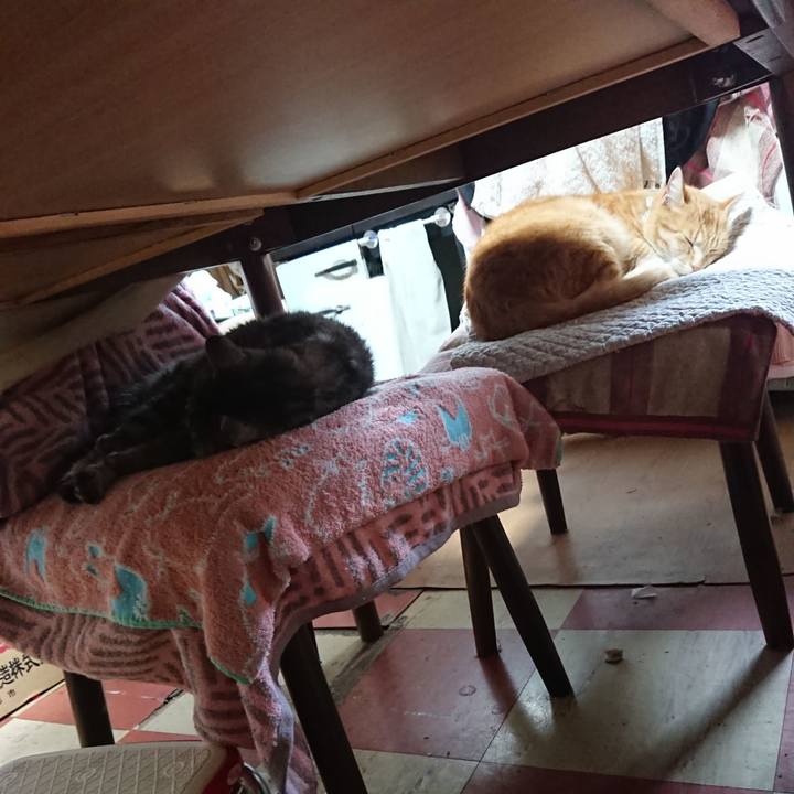 Fc932d48 7d7c 4fdb b7bd a75f39d8c527 1587628078128