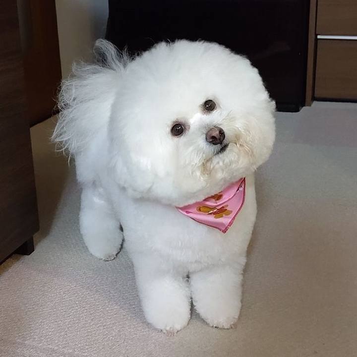 Fc933a65 af23 4525 9bb4 074b8d3fe8a8 1606217033620