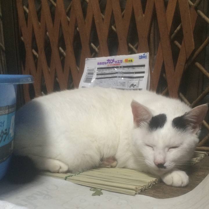 Fc9351e4 08ea 47be aae4 08ff9f79bcd8 1564412078988